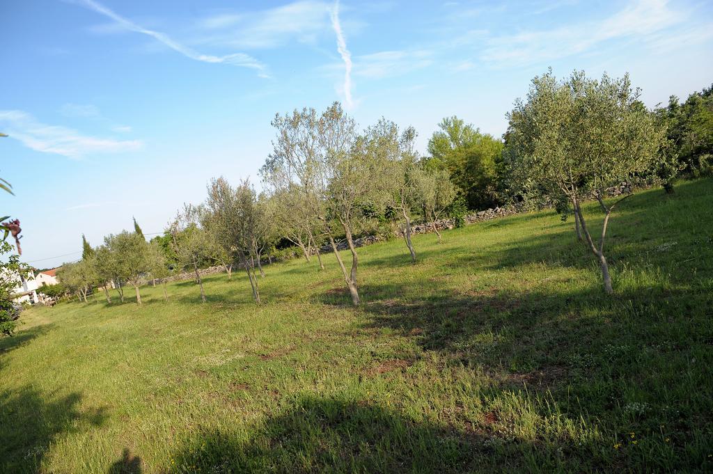 Holiday Home Dioniza Vodnjan Cameră foto